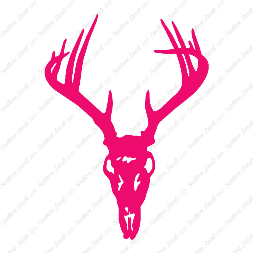 Deer Skull Trophy Antlers