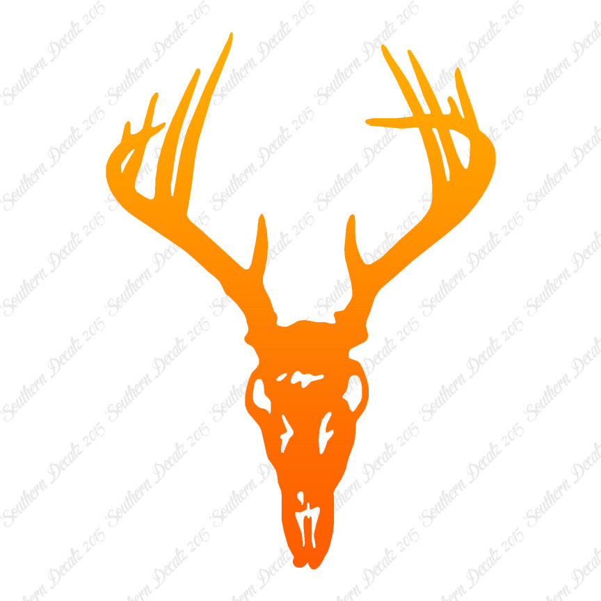 Deer Skull Trophy Antlers