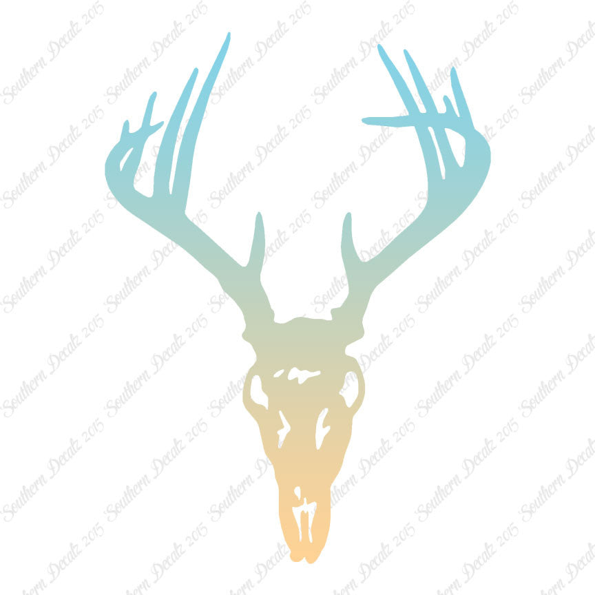 Deer Skull Trophy Antlers