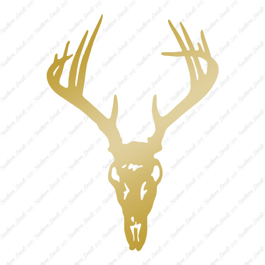 Deer Skull Trophy Antlers