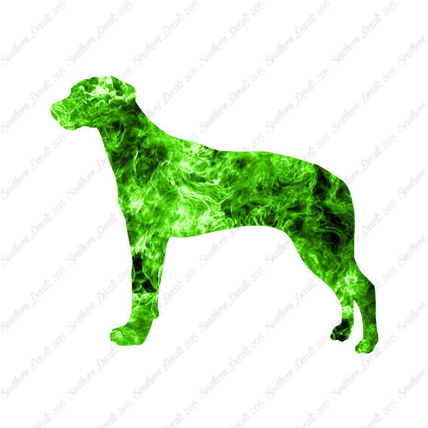 Rhodesian Ridgeback Dog Breed