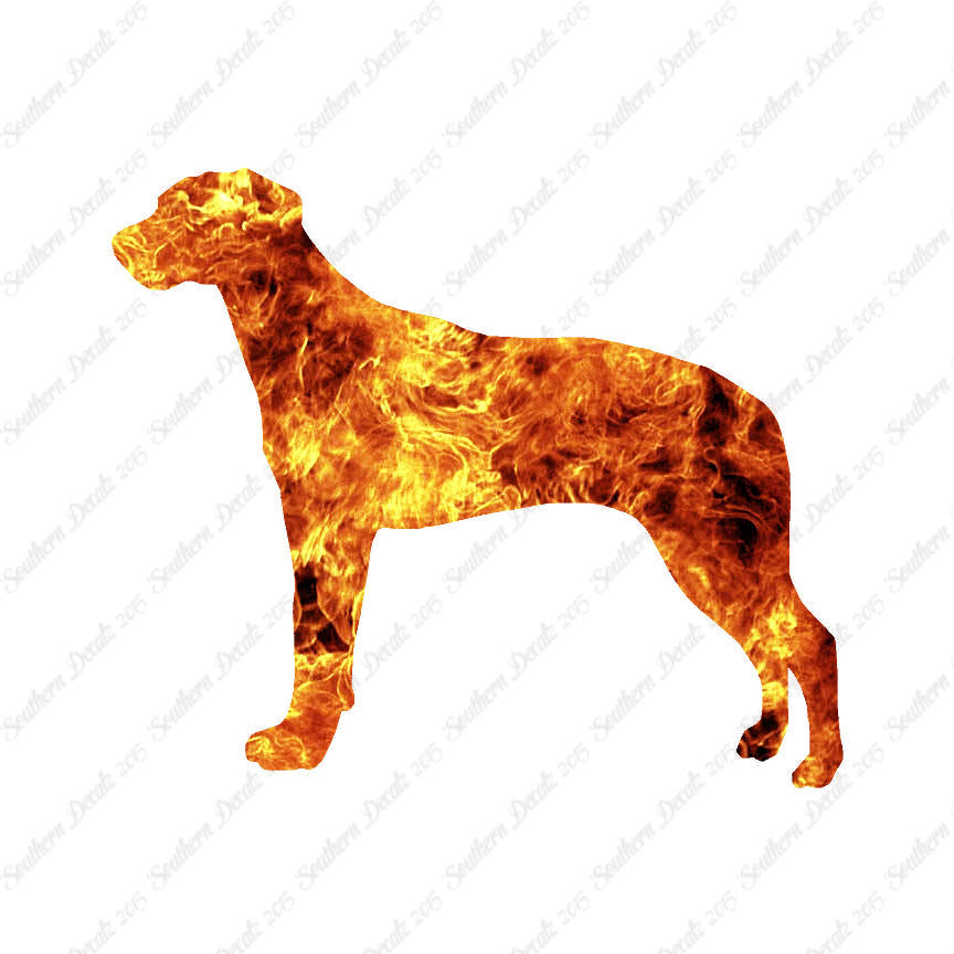 Rhodesian Ridgeback Dog Breed