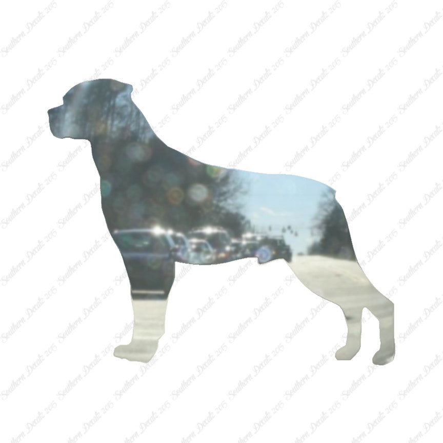 Rottweiler Dog Breed