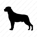 Rottweiler Dog Breed