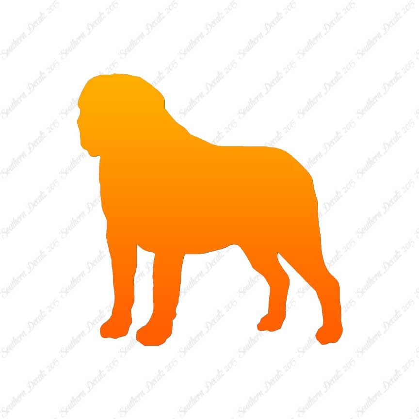 Saint Bernard Dog Breed