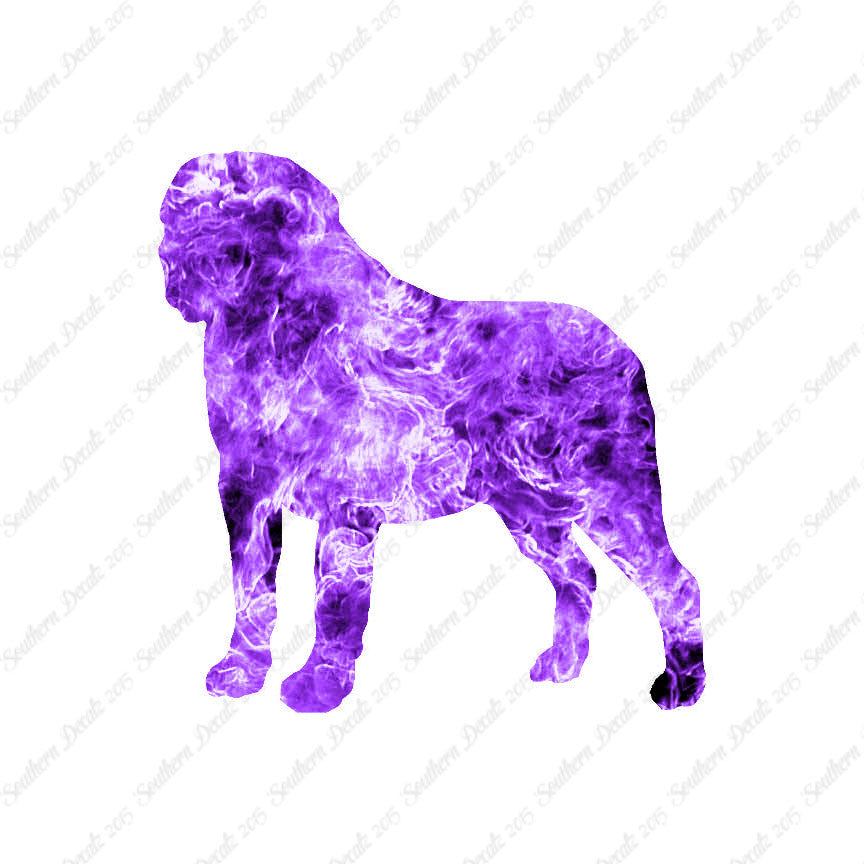 Saint Bernard Dog Breed