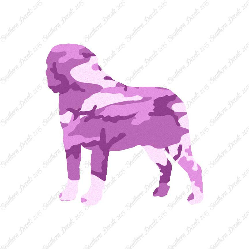Saint Bernard Dog Breed