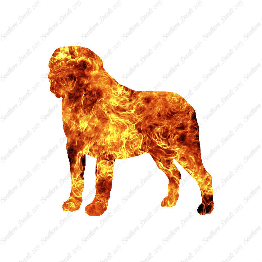 Saint Bernard Dog Breed