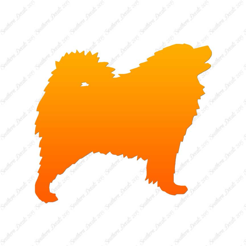 Samoyed Dog Breed