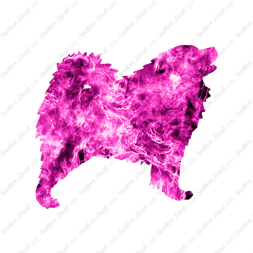 Samoyed Dog Breed