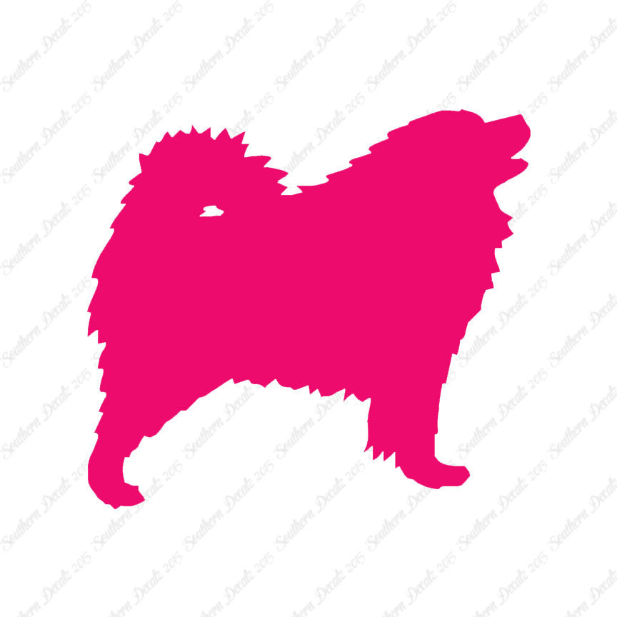 Samoyed Dog Breed