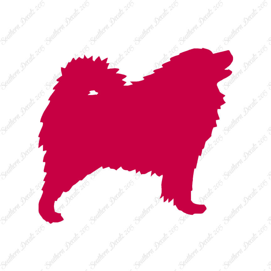 Samoyed Dog Breed