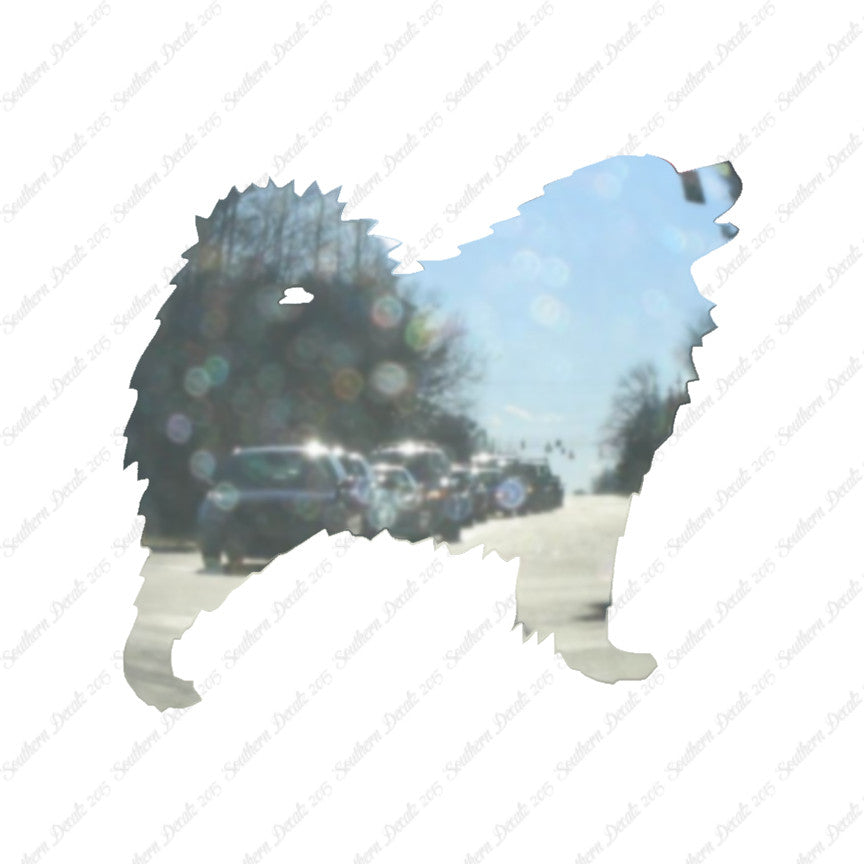 Samoyed Dog Breed