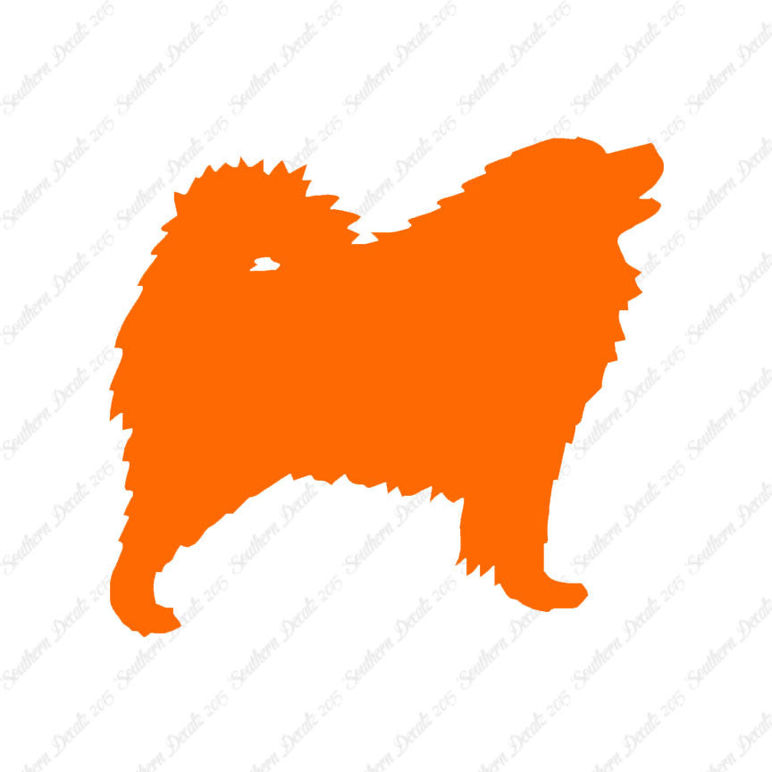 Samoyed Dog Breed