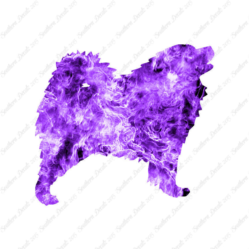 Samoyed Dog Breed