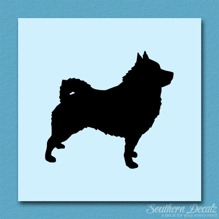 Schipperke Dog Breed