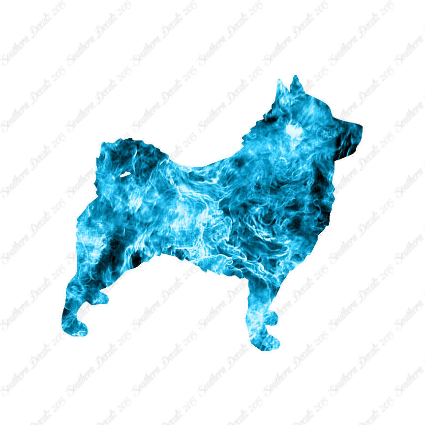 Schipperke Dog Breed