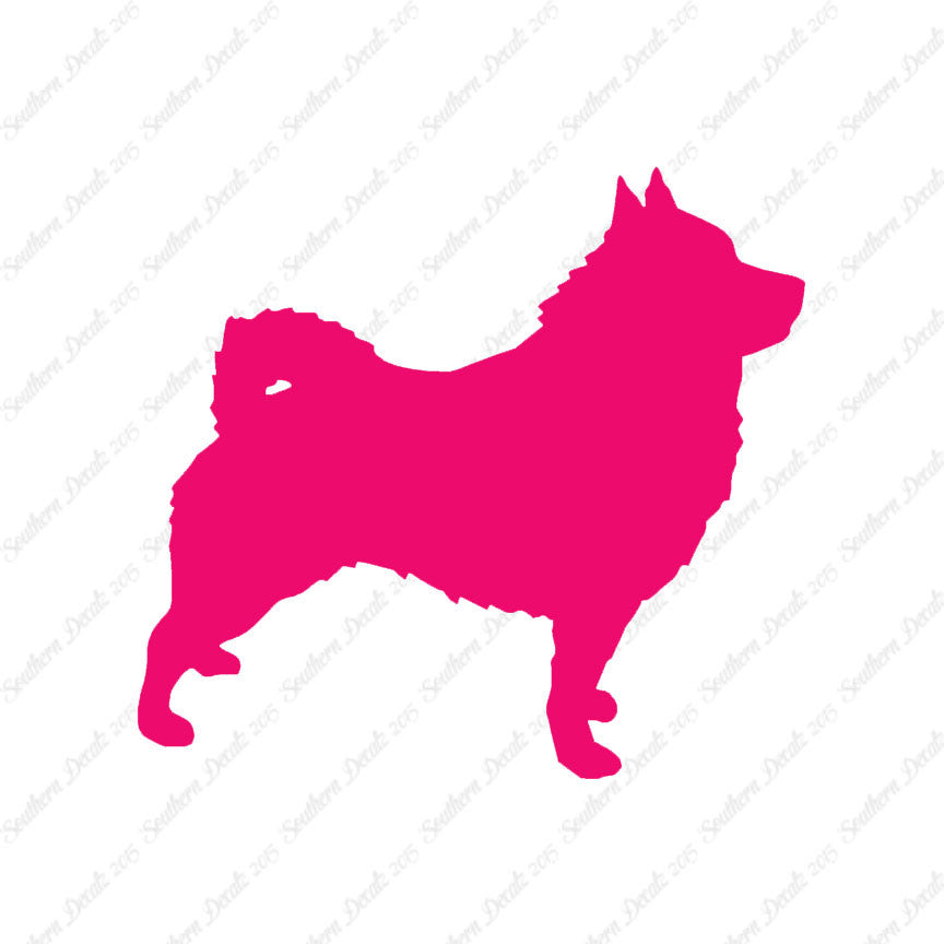 Schipperke Dog Breed