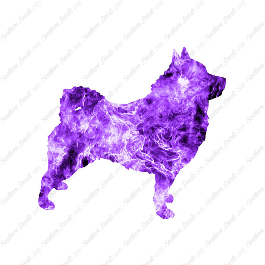 Schipperke Dog Breed