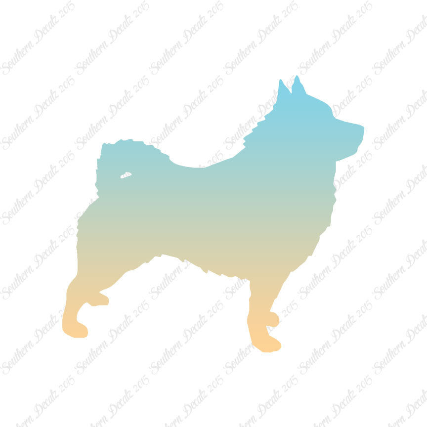Schipperke Dog Breed