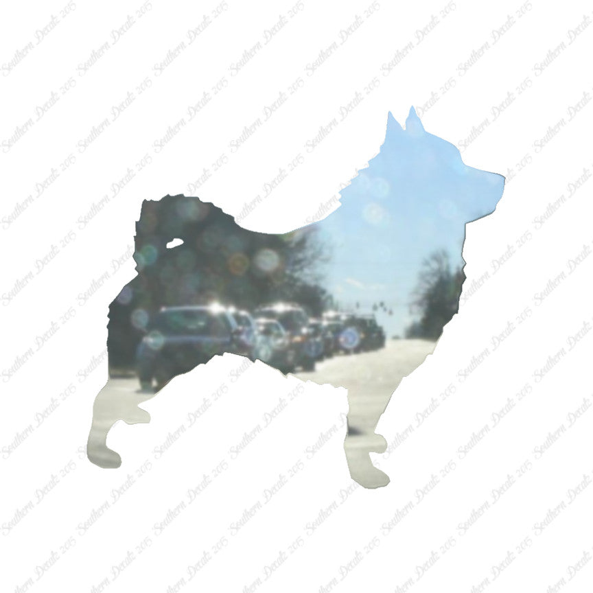 Schipperke Dog Breed
