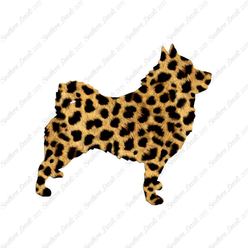 Schipperke Dog Breed