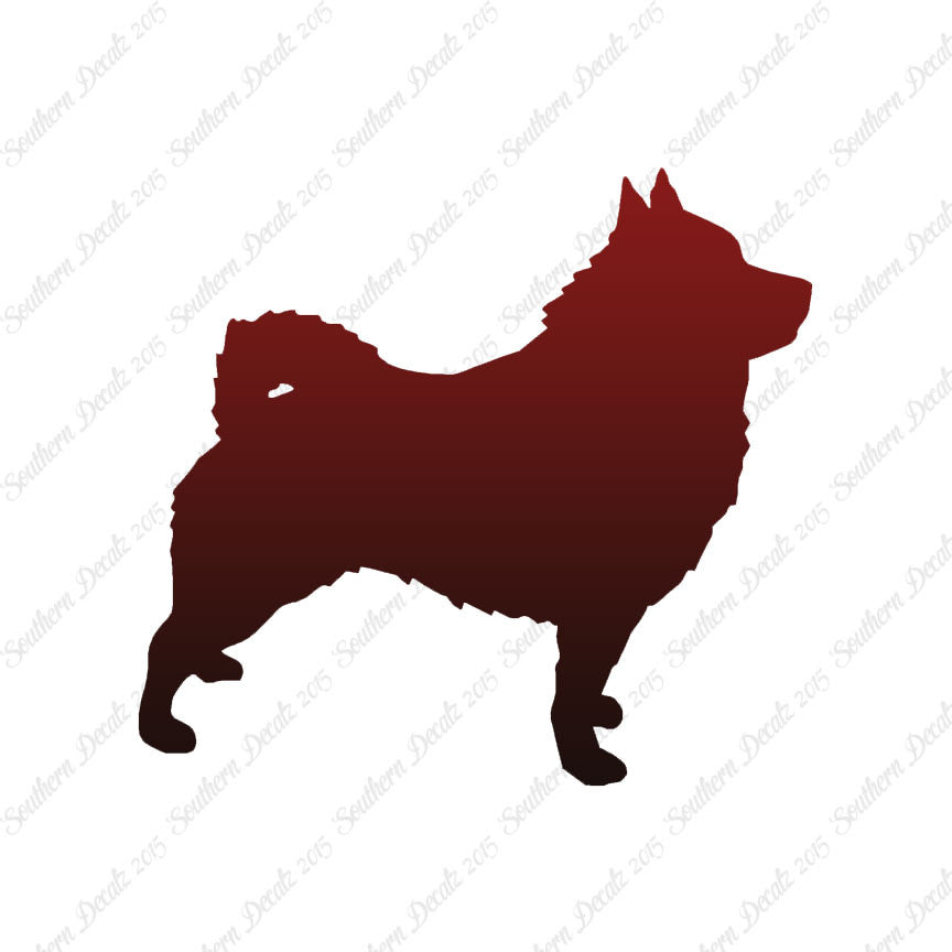 Schipperke Dog Breed