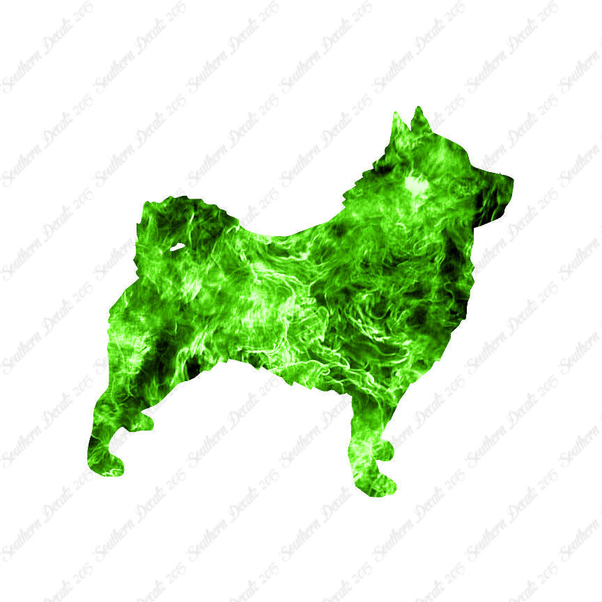 Schipperke Dog Breed