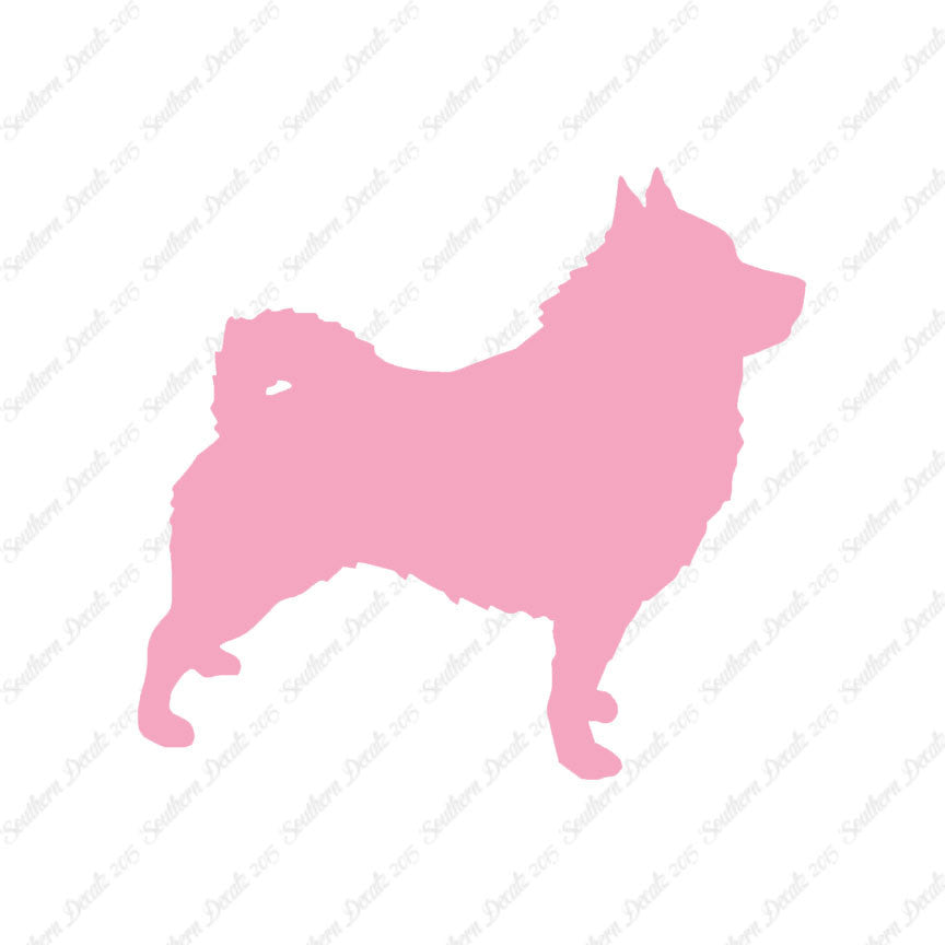 Schipperke Dog Breed