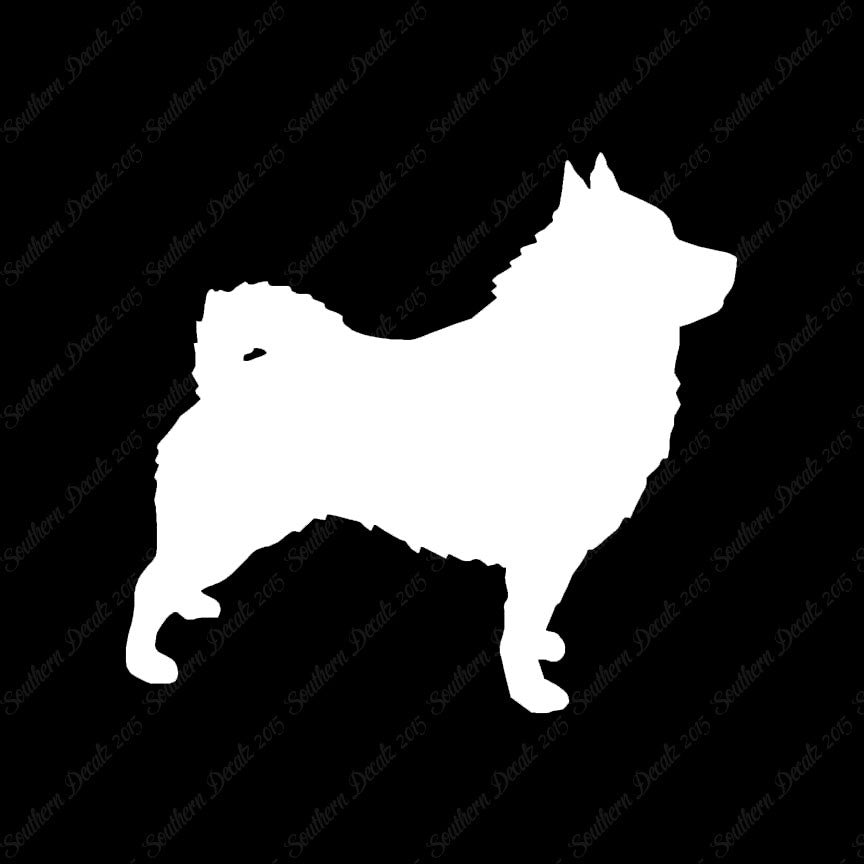 Schipperke Dog Breed