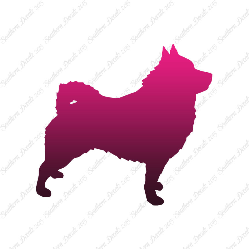 Schipperke Dog Breed