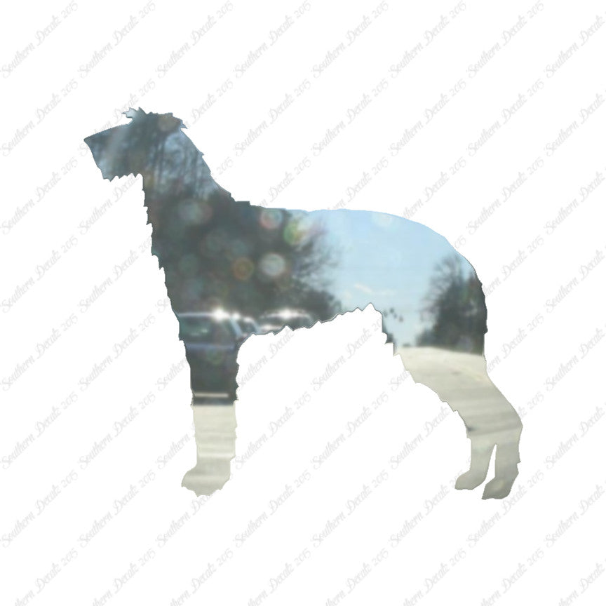 Scottish Deerhound Dog Breed