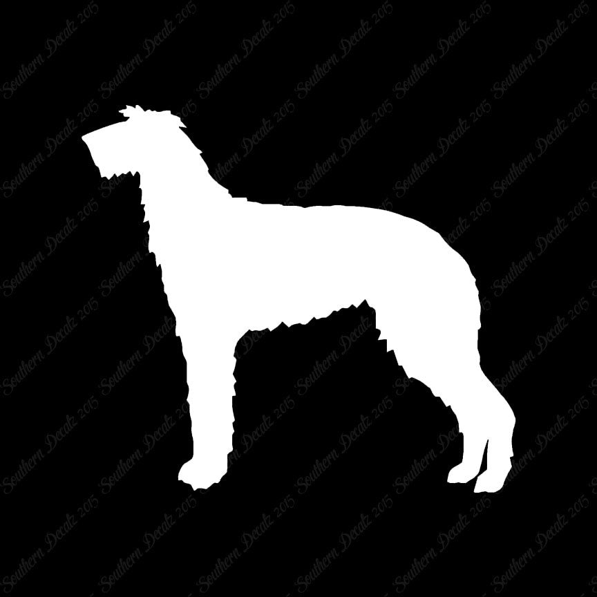 Scottish Deerhound Dog Breed