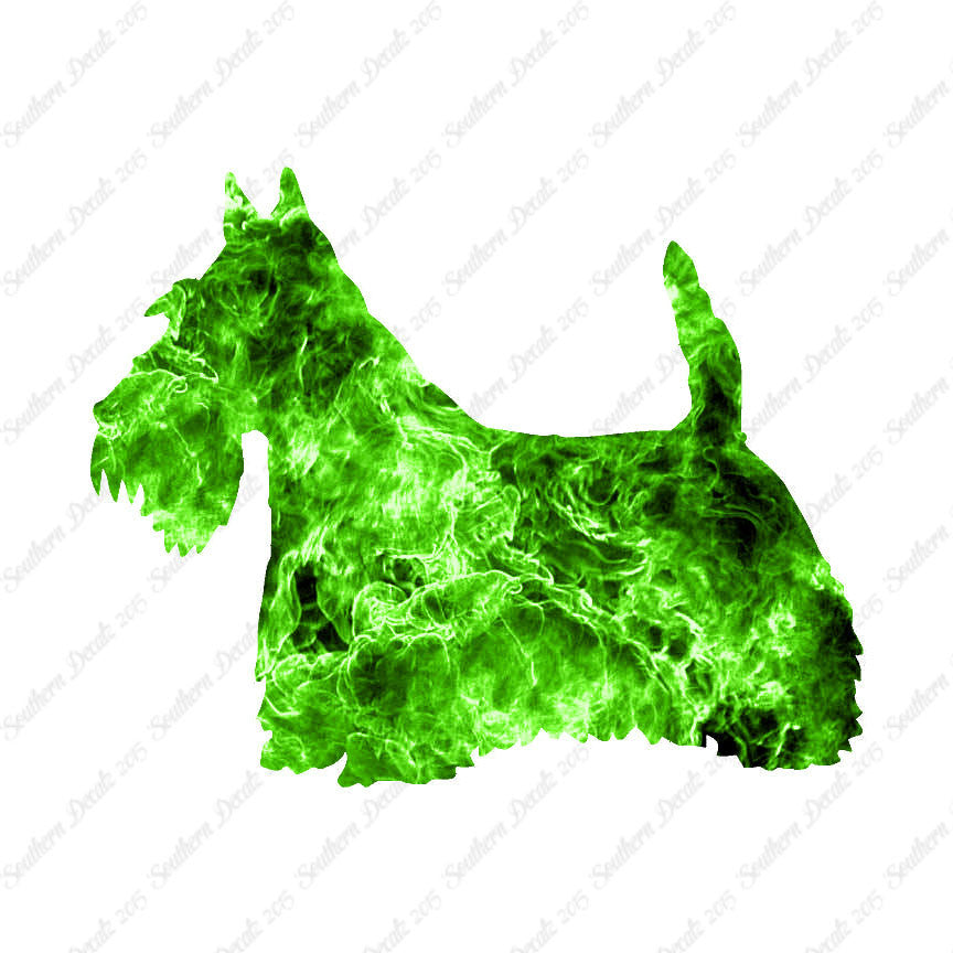 Scottish Terrier Dog Breed