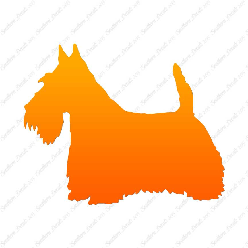 Scottish Terrier Dog Breed