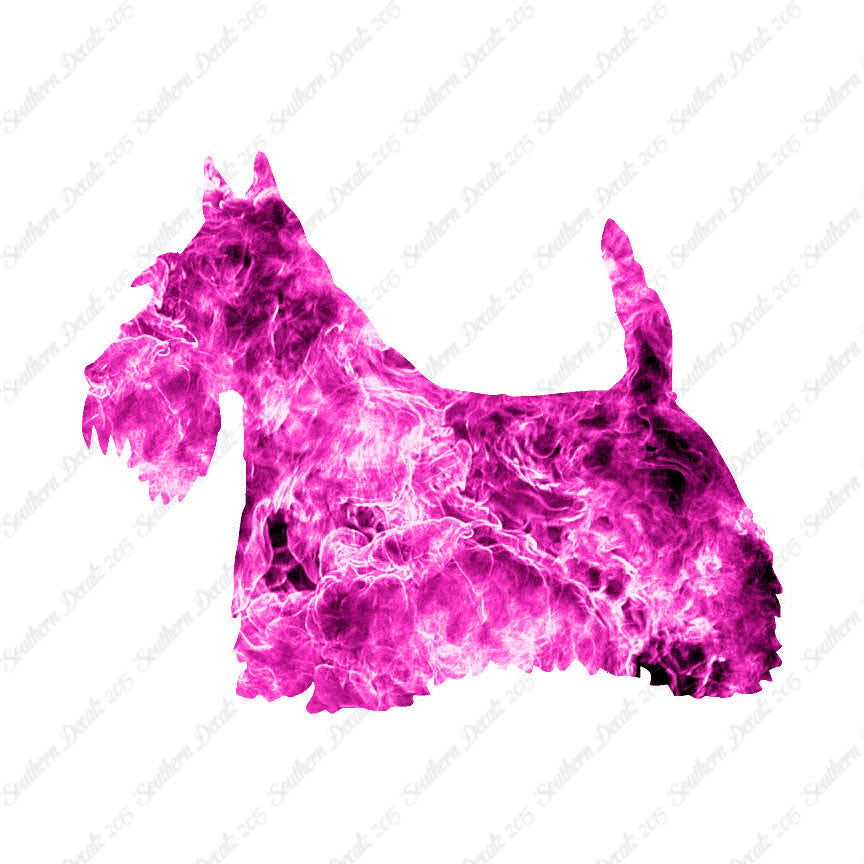 Scottish Terrier Dog Breed