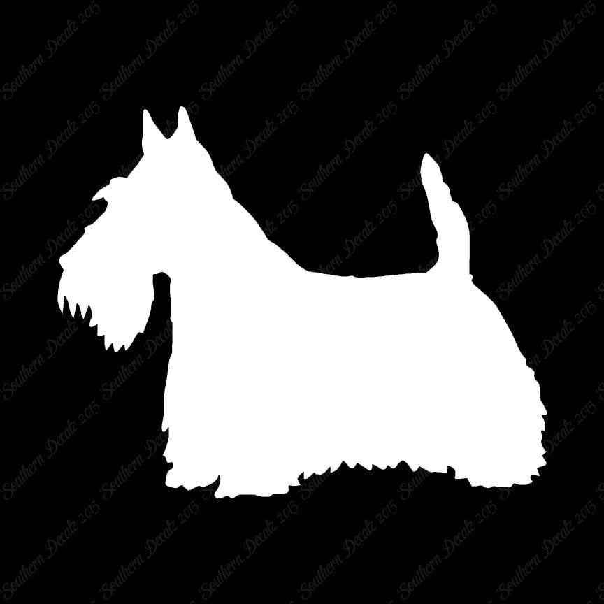 Scottish Terrier Dog Breed