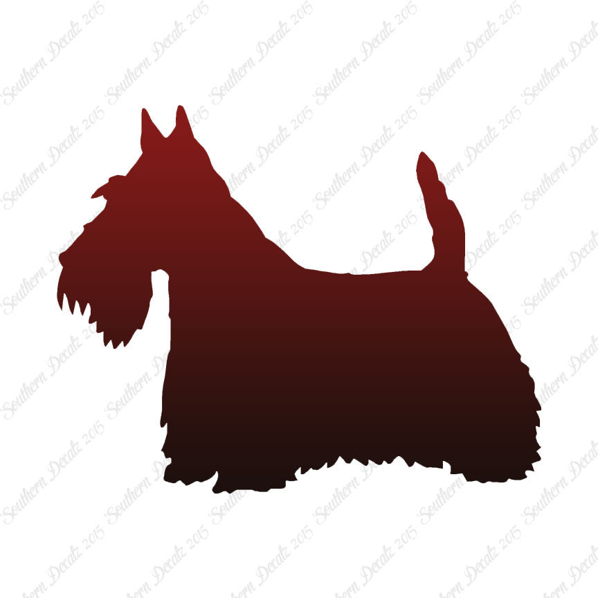 Scottish Terrier Dog Breed