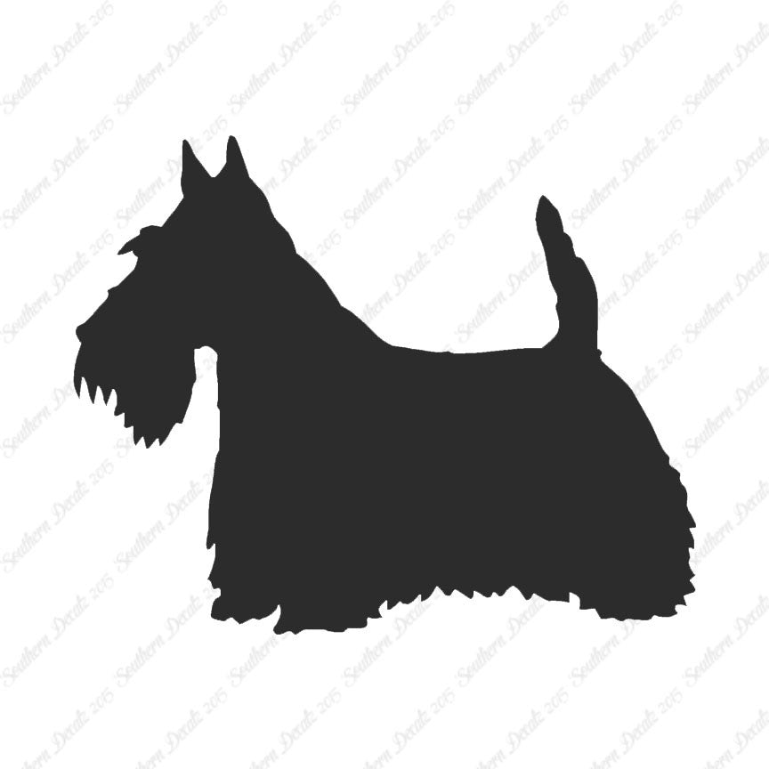 Scottish Terrier Dog Breed