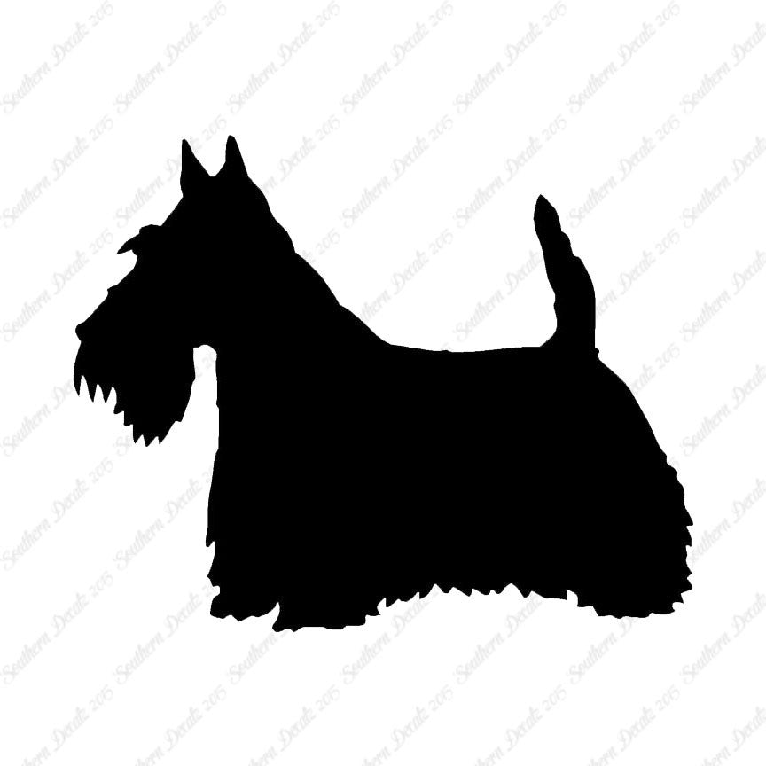 Scottish Terrier Dog Breed