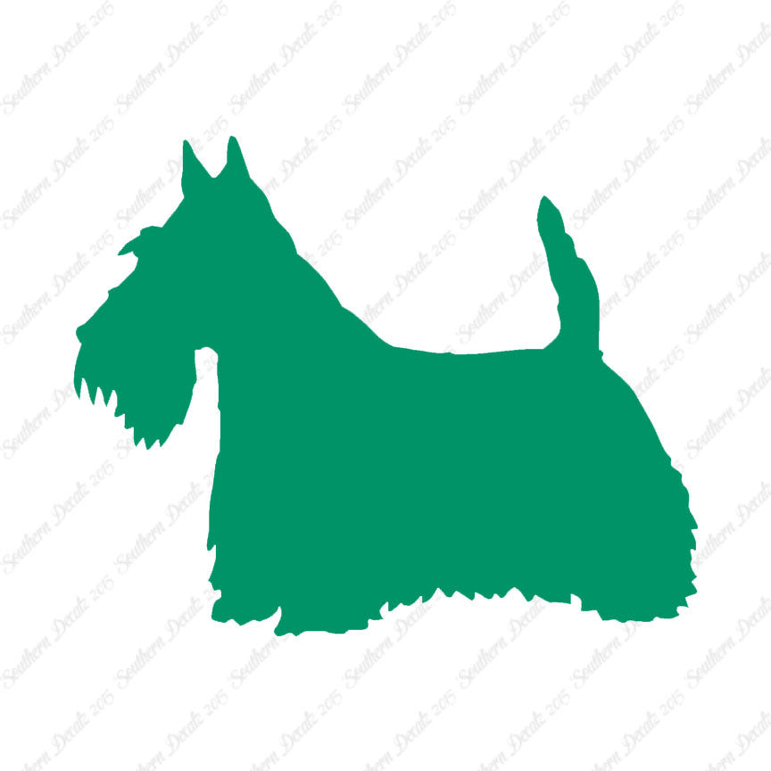 Scottish Terrier Dog Breed
