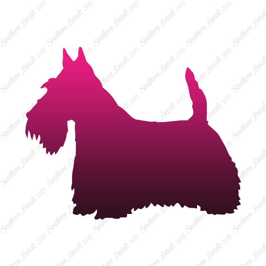 Scottish Terrier Dog Breed