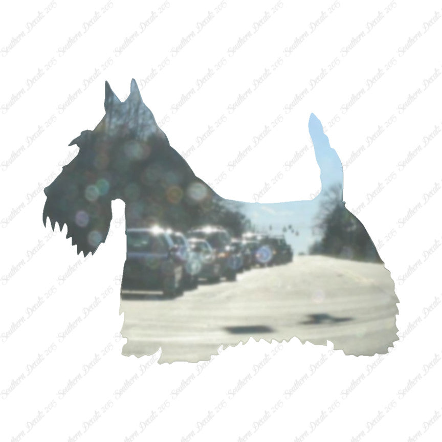 Scottish Terrier Dog Breed