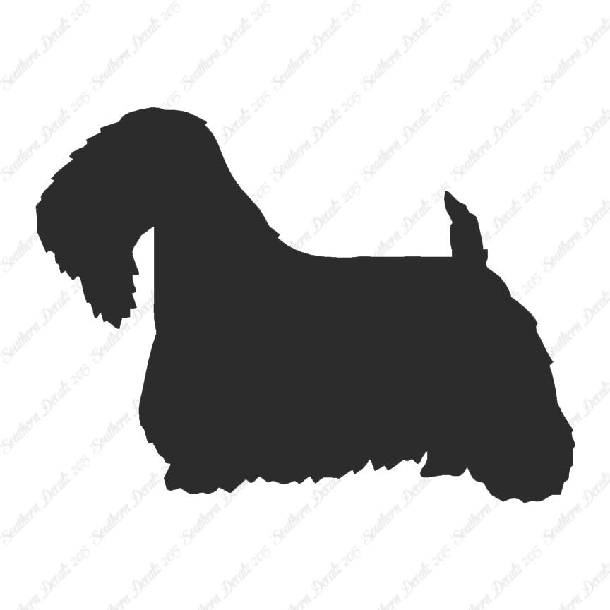 Sealyham Terrier Dog Breed