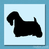 Sealyham Terrier Dog Breed