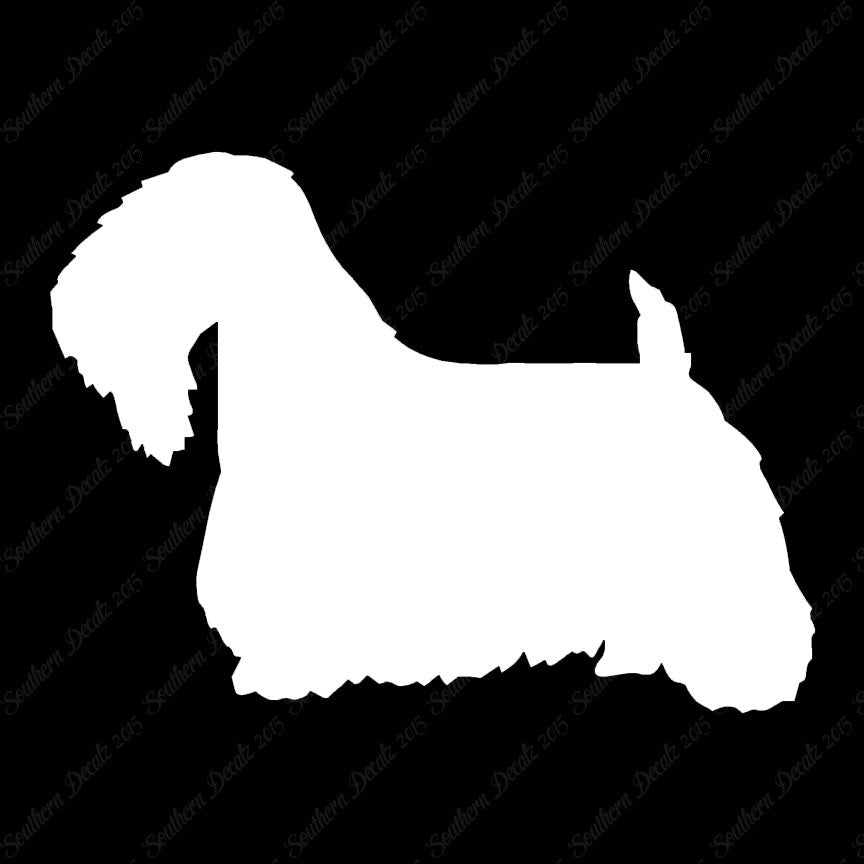 Sealyham Terrier Dog Breed
