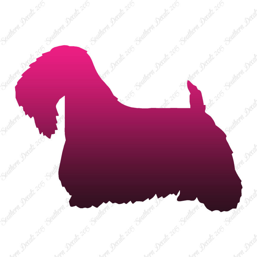 Sealyham Terrier Dog Breed