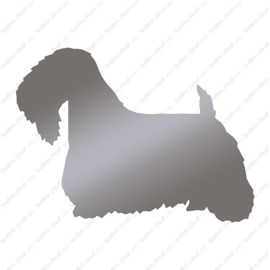 Sealyham Terrier Dog Breed