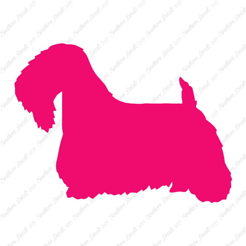 Sealyham Terrier Dog Breed