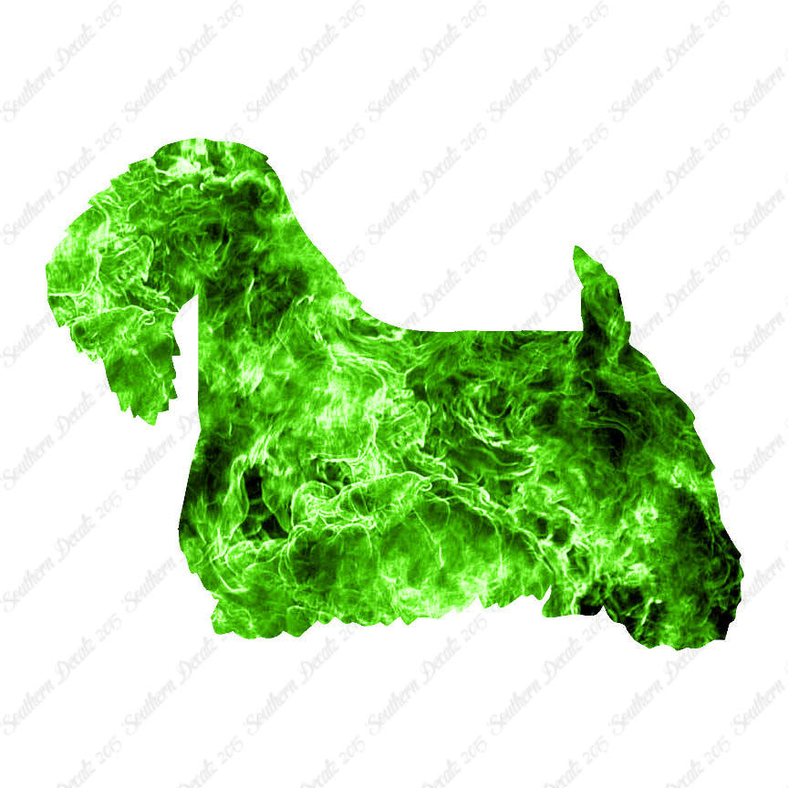 Sealyham Terrier Dog Breed